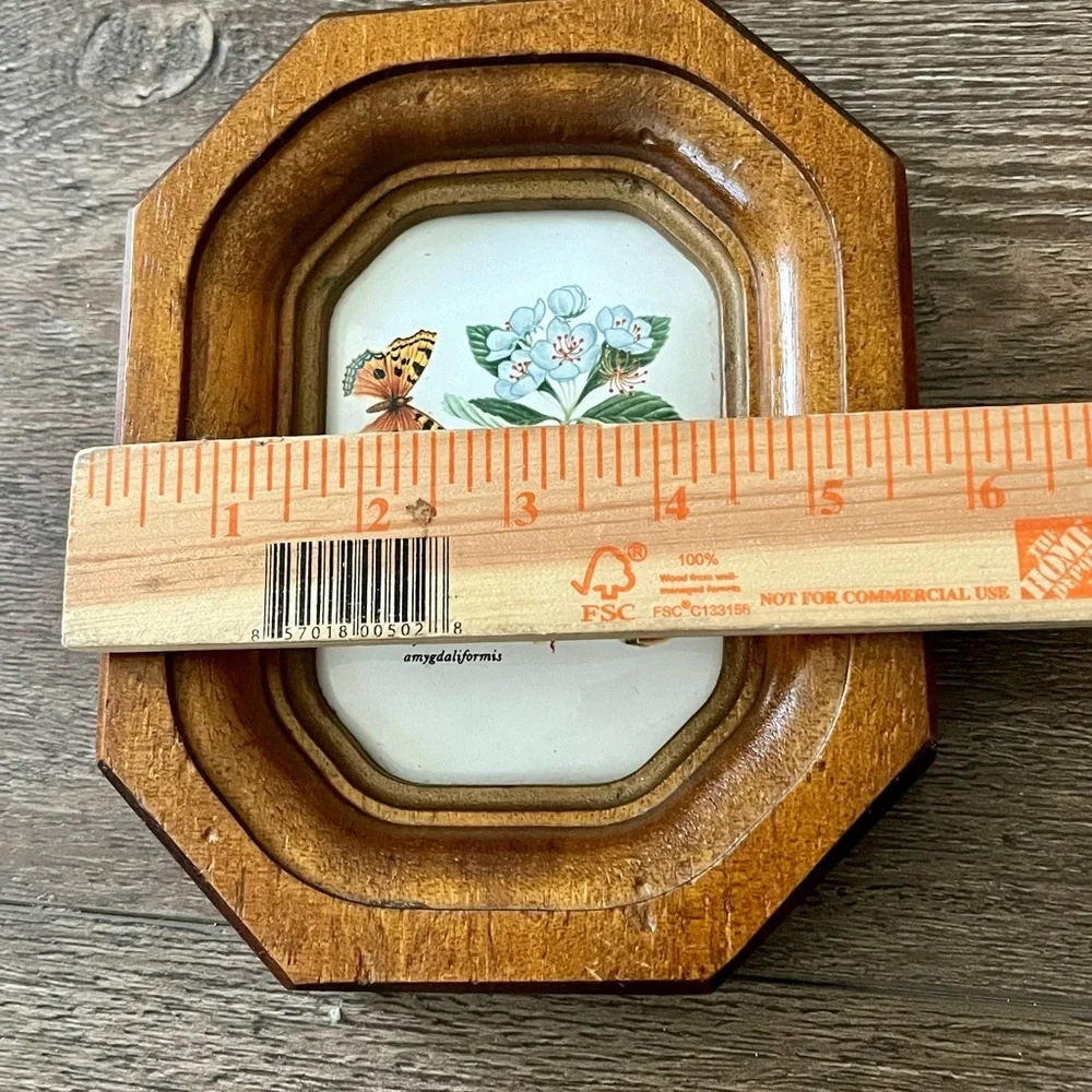 Wooden Framed Botanical Wall Art Berkeley house hand painted tile Italy